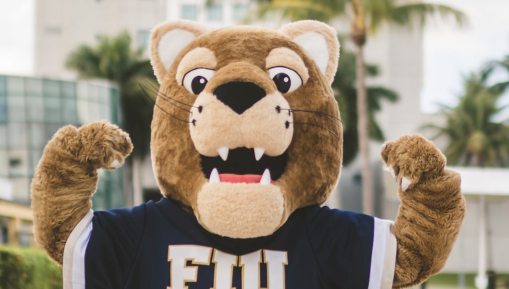 Roary the FIU mascot, photo courtesy of FIU