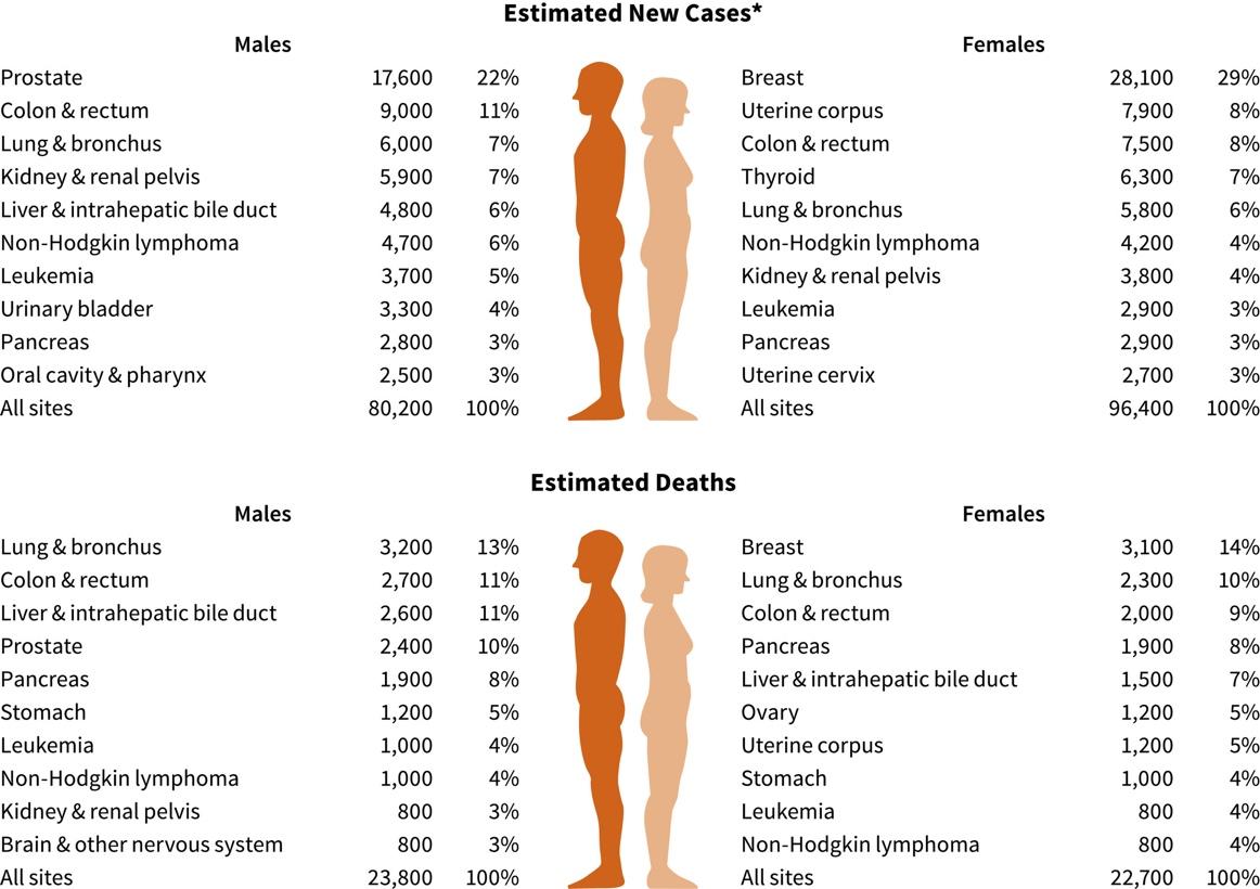 A comparison of the different types of cases of the male and female

Description automatically generated